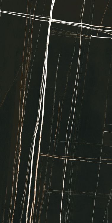 Noir Black Polished 24 x 48