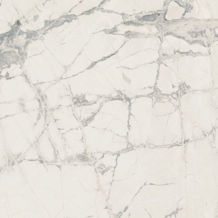 Prexious Mountain Treasure Matte 48 x 48