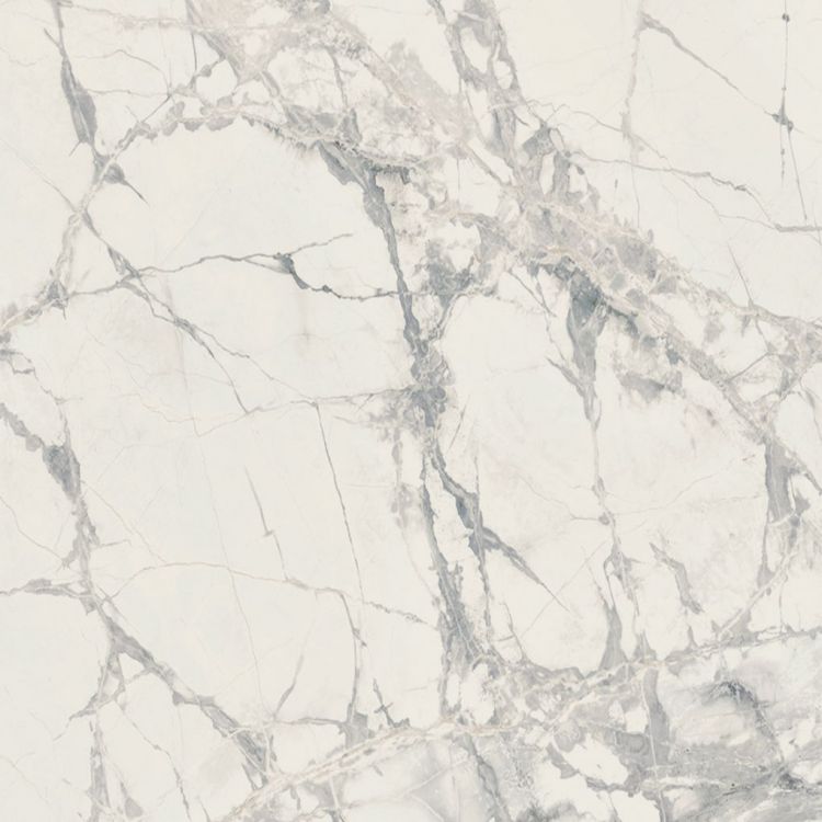 Prexious Mountain Treasure Matte 48 x 48