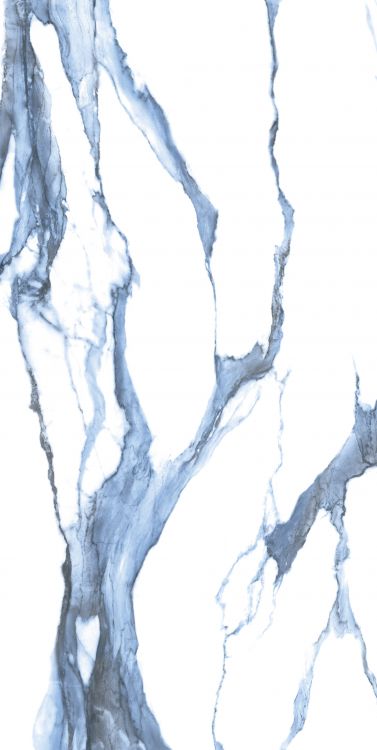 Calacatta Blue Matte 24 x 48 Calacatta Blue Matte 24 x 48