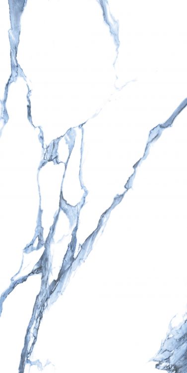 Calacatta Blue Matte 24 x 48