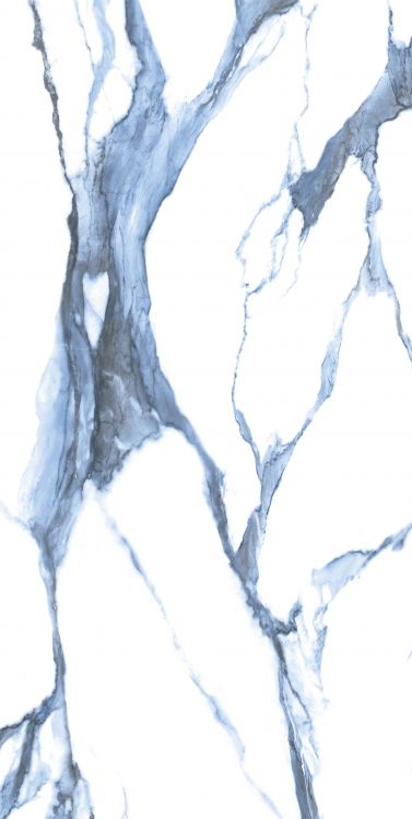 Calacatta Blue Matte 24 x 48