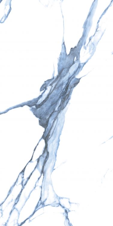 Calacatta Blue Matte 24 x 48