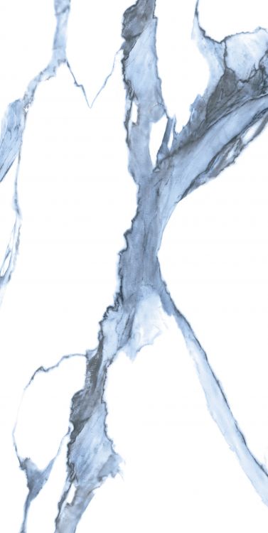 Calacatta Blue Matte 24 x 48
