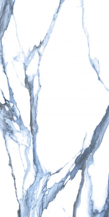 Calacatta Blue Matte 24 x 48