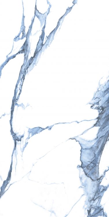 Calacatta Blue Matte 24 x 48