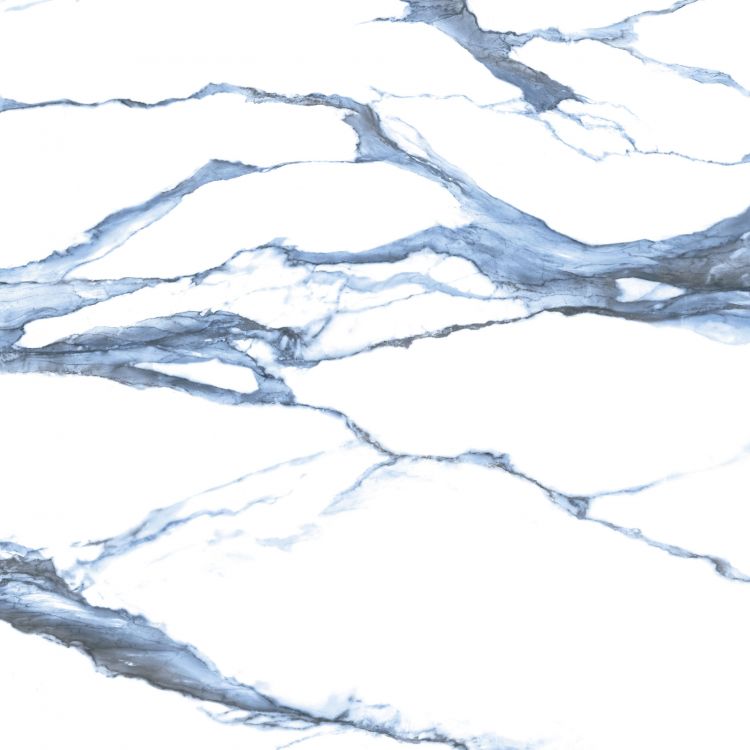 Calacatta Blue Matte 48 x 48