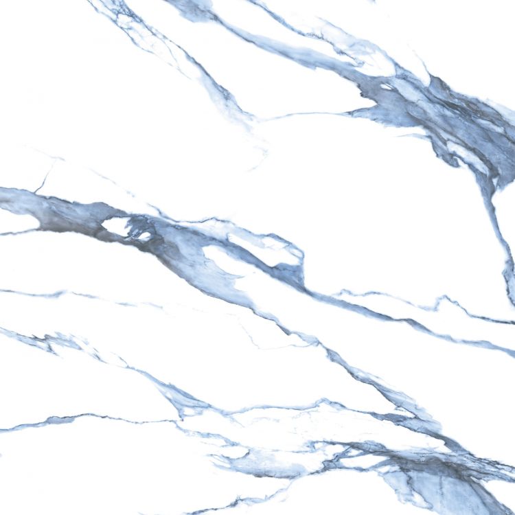 Calacatta Blue Matte 48 x 48