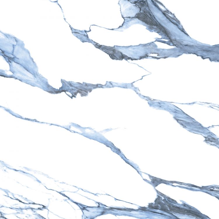 Calacatta Blue Matte 48 x 48