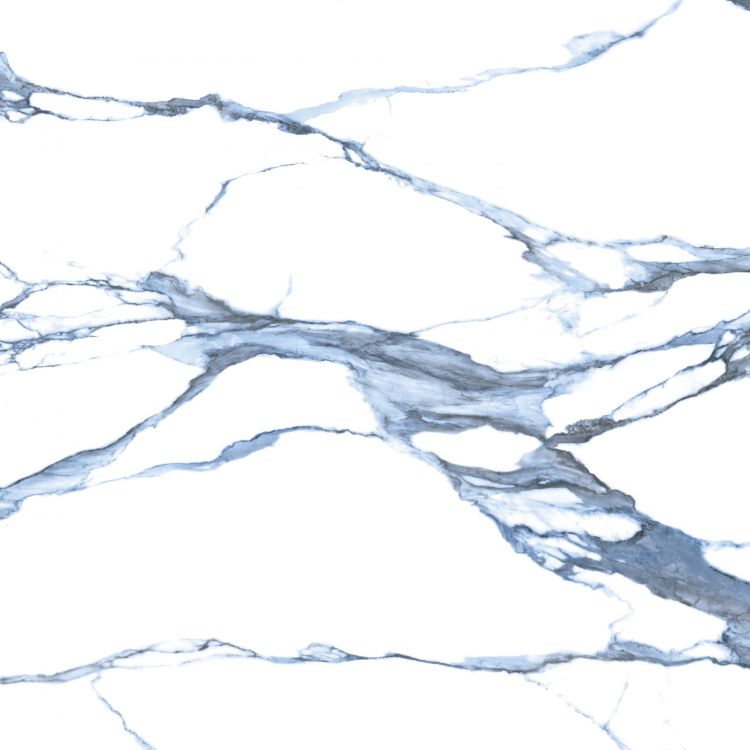 Calacatta Blue Matte 48 x 48