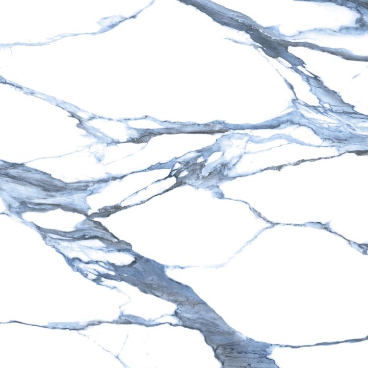 Calacatta Blue Polished 48 x 48