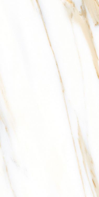 AGL Calacatta Gold Polished 12 x 24