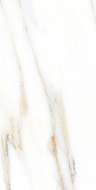 AGL Calacatta Gold Polished 12 x 24