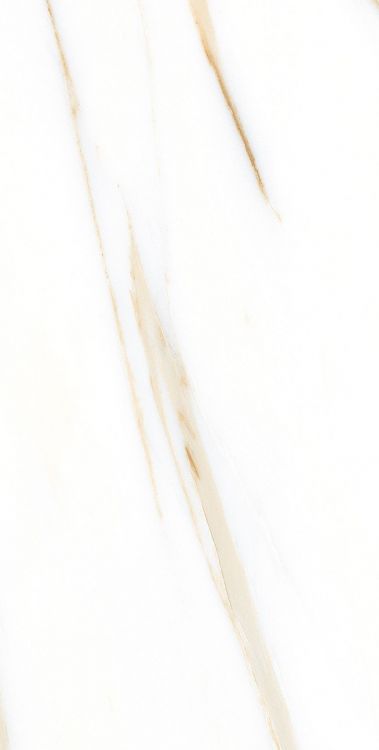AGL Calacatta Gold Polished 12 x 24
