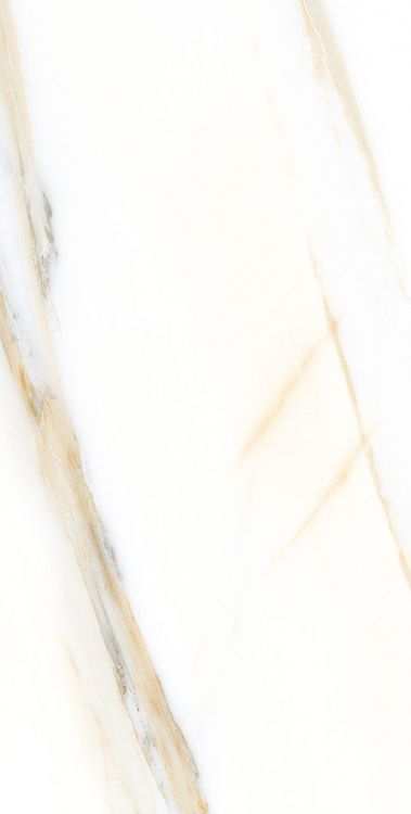 AGL Calacatta Gold Polished 12 x 24