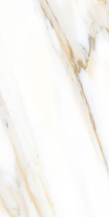 AGL Calacatta Gold Polished 12 x 24