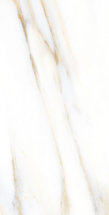 AGL Calacatta Gold Polished 12 x 24