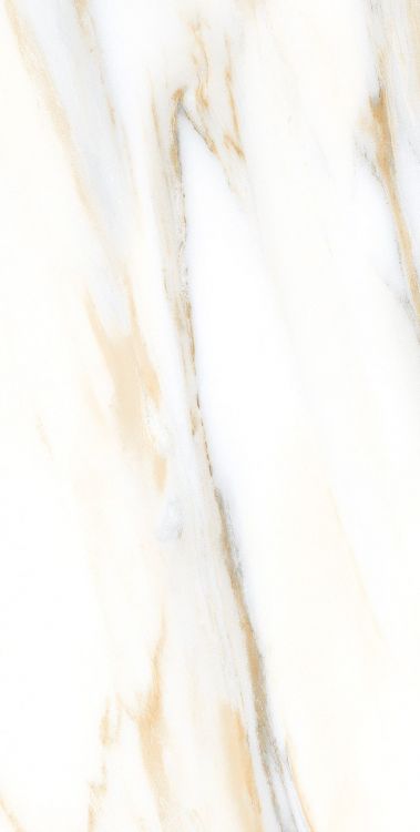 AGL Calacatta Gold Polished 12 x 24