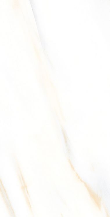 AGL Calacatta Gold Polished 12 x 24