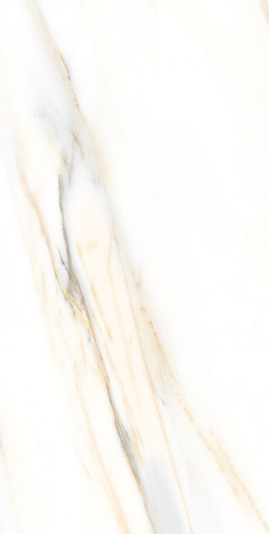 AGL Calacatta Gold Polished 12 x 24