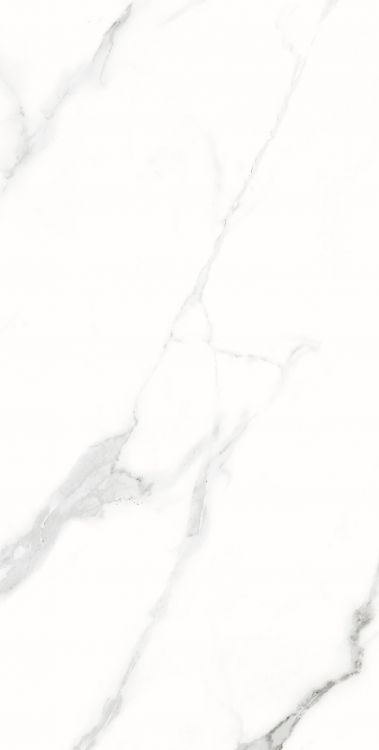 AGL Statuario Polished 12 x 24