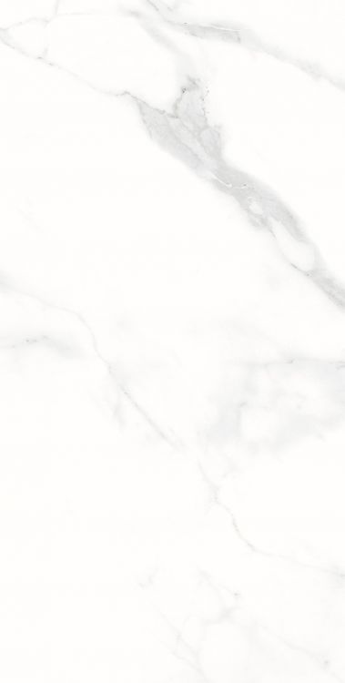 AGL Statuario Polished 12 x 24