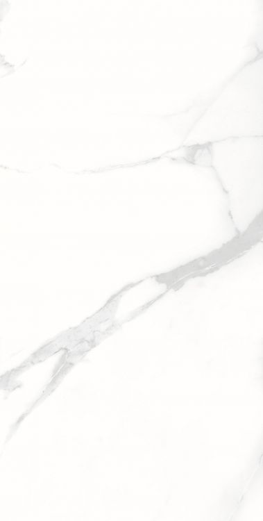 AGL Statuario Polished 12 x 24
