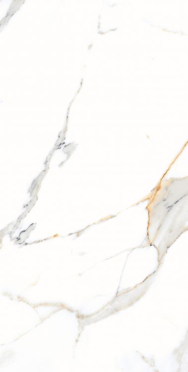 AGL Apia Orange Polished 12 x 24