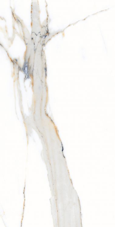 AGL Apia Orange Polished 12 x 24