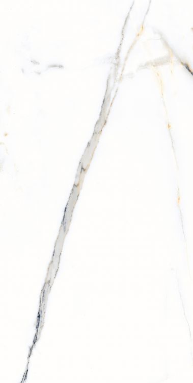 AGL Apia Orange Polished 12 x 24