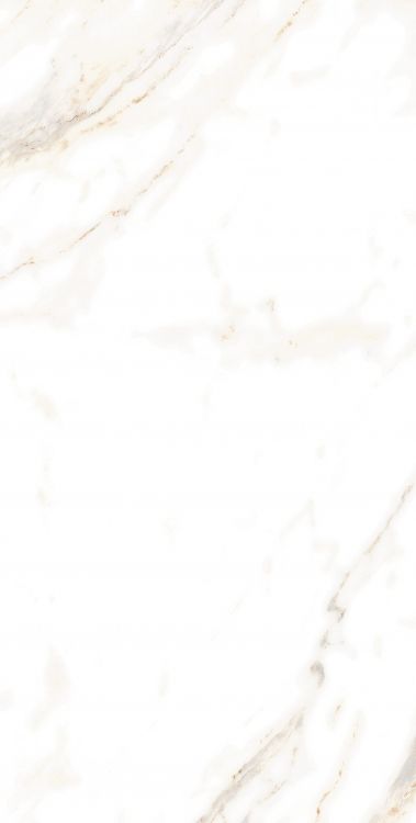 AGL Lusso Staturio Matte 12 x 24