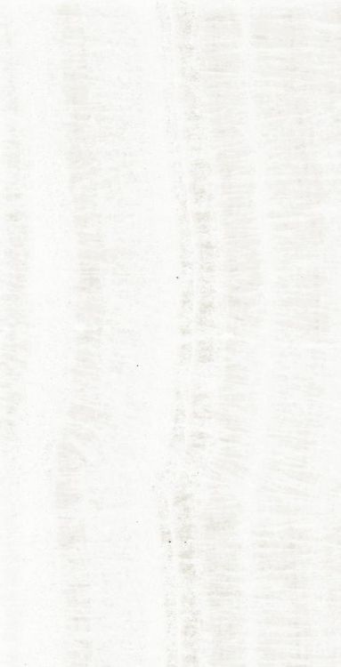 OL Onyx White Polished 12 x 24