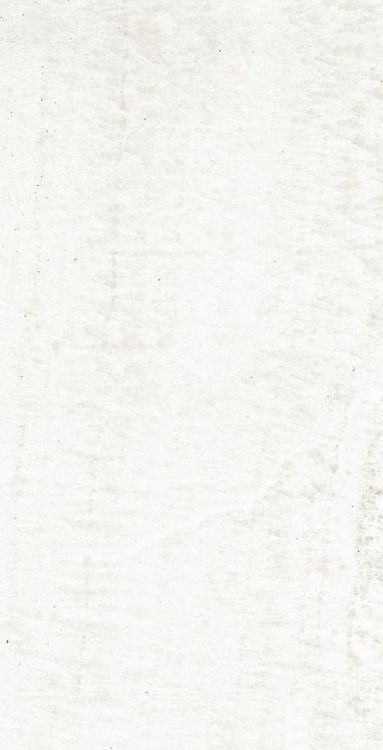 OL Onyx White Matte 12 x 24