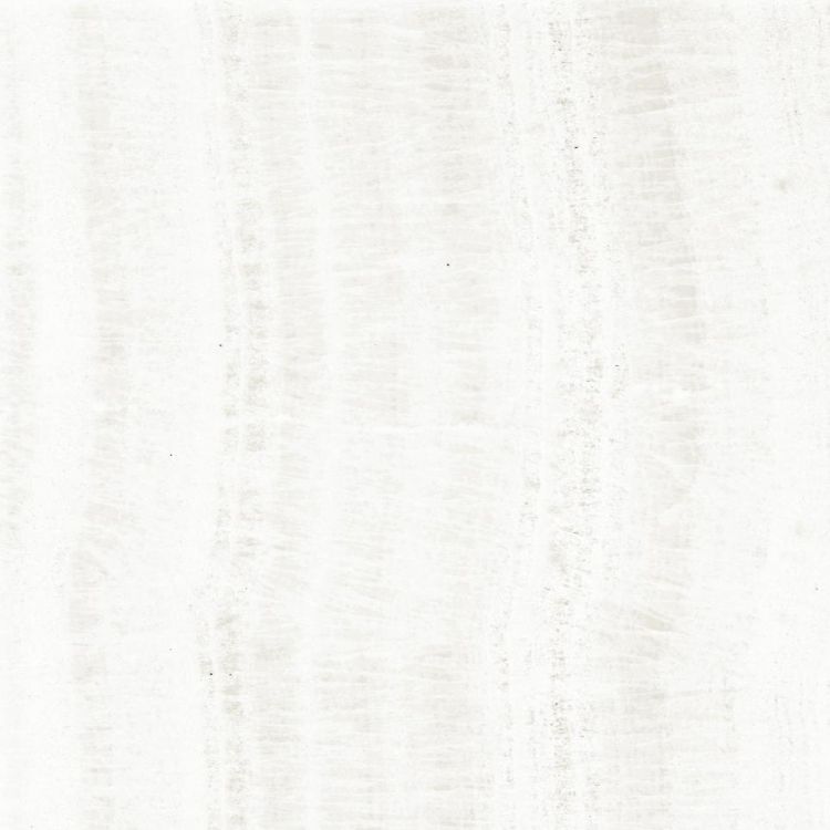 OL Onyx White Polished 24 x 24