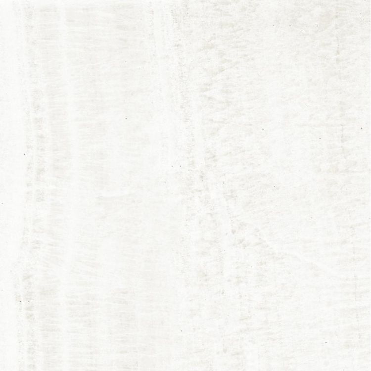 OL Onyx White Matte 24 x 24