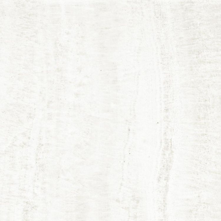 OL Onyx White Matte 24 x 24