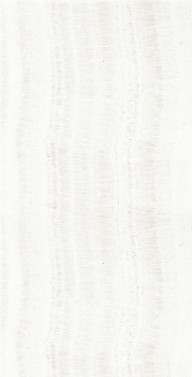 OL Onyx White Matte 24 x 48