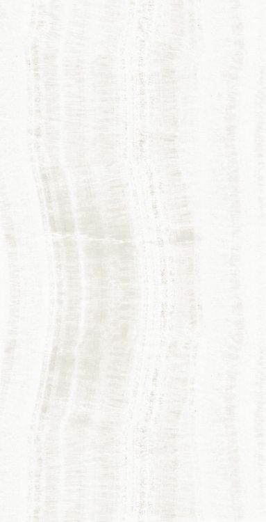 OL Onyx White Matte 24 x 48