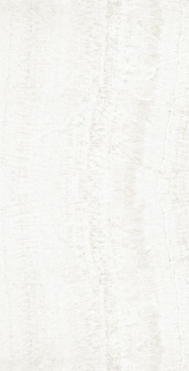 OL Onyx White Matte 24 x 48 OL Onyx White Matte 24 x 48