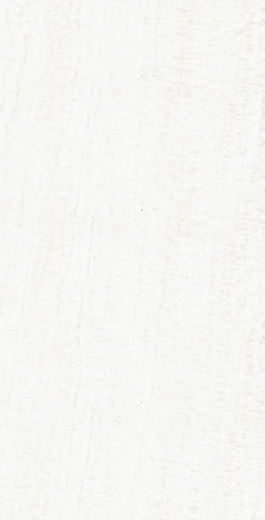 OL Onyx White Matte 24 x 48