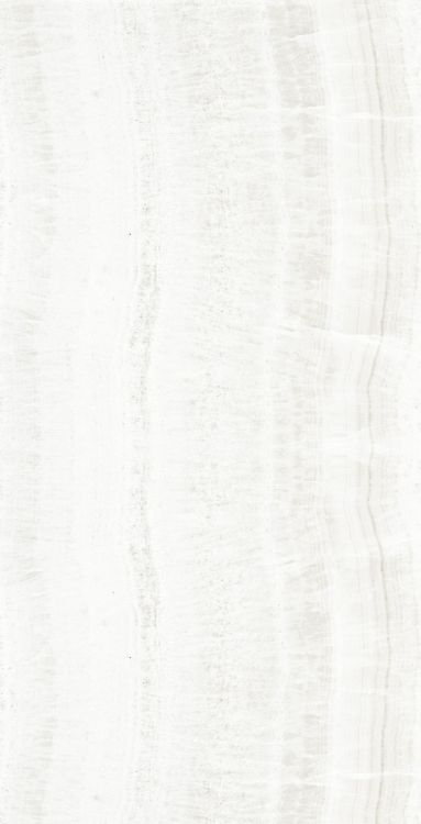 OL Onyx White Matte 24 x 48