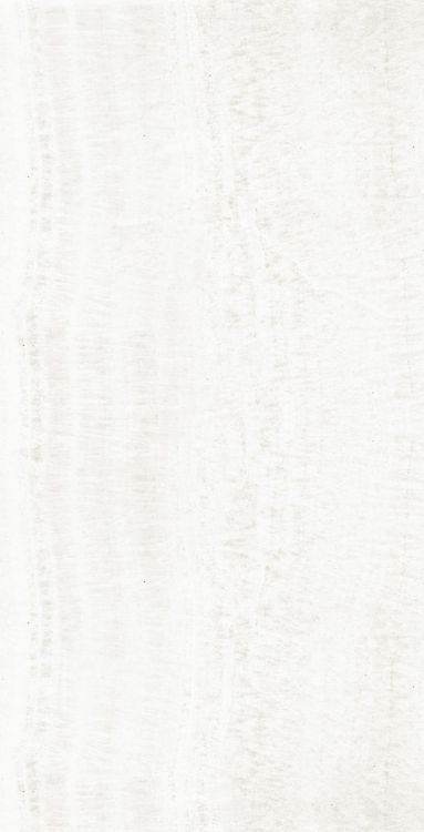 OL Onyx White Matte 24 x 48