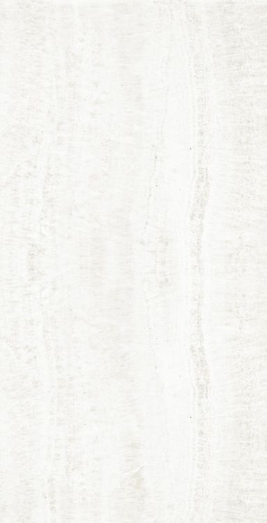 OL Onyx White Matte 24 x 48
