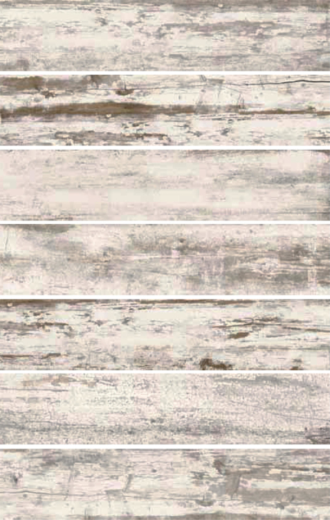 Cavalier Bianco CA 10 8.50 x 40