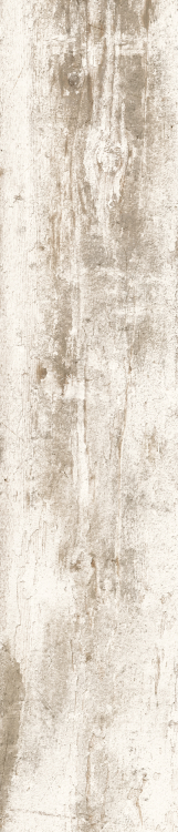 Cavalier Bianco CA 10 8.50 x 40