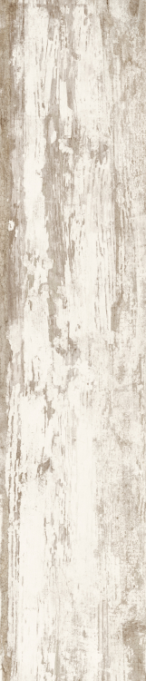 Cavalier Bianco CA 10 8.50 x 40
