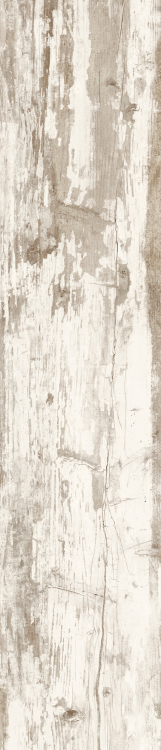 Cavalier Bianco CA 10 8.50 x 40