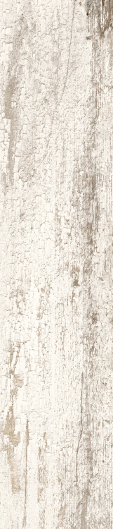 Cavalier Bianco CA 10 8.50 x 40