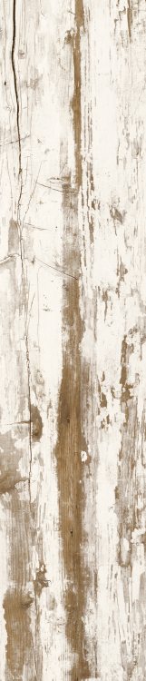 Cavalier Bianco CA 10 8.50 x 40