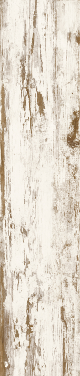 Cavalier Bianco CA 10 8.50 x 40